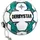 derbystar Swing Heavy Pendel-Fußball weiß/türkis 5