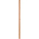 Andrewex Zaunpfosten Quadra natur 9 cm x 9 cm x 185 cm Natur Lackiert