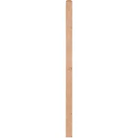 Andrewex Zaunpfosten Quadra natur 9 cm x 9 cm x 185 cm Natur Lackiert
