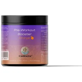 zytrion Pre-Workout Booster Orange Pulver 520 g