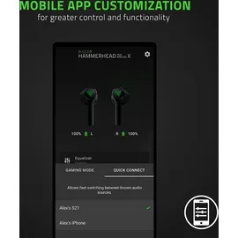 Razer Hammerhead True Wireless X