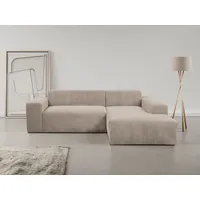 werk2 Ecksofa »Zeus-L modern und zeitlos, Breite 253cm, bequemes Sofa«, Curvy Trend Ecksofa mit urbaner Optik, grau