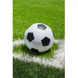 Jerry Fabrics Fußball Fleece-Decke 100x150 cm Kuscheldecke aus 100 % Polyester, Weich & Warm