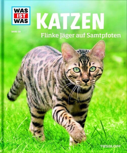 Katzen - Flinke Jäger auf Samtpfoten - Was ist was (Bd. 59)