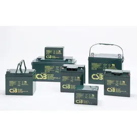CSB CSB-EVX12300 12 Volt AGM Bleiakku 30Ah, 166x125x175mm M5 Innengewinde Zyklenfest + Standby