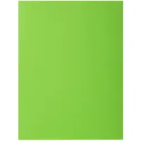 Exacompta 210013E Sammelmappe Karton Grün