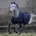 Bucas Trot Turnout 50g -
