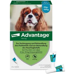 Advantage 100 Lösung zum Auftropfen für Hunde 4-10 kg 4 St Lösung