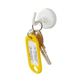 Maul Magnete weiß, Metall Ø 2,5 x 3,7 cm, 5 St.