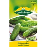 Quedlinburger Einlegegurke Restina F1