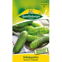 Quedlinburger Einlegegurke Restina F1