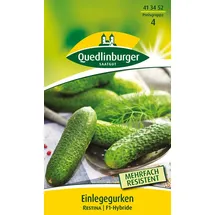 Quedlinburger Einlegegurke Restina F1