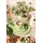 SELTMANN WEIDEN Liberty Pure Colors Kaffeeservice 18-tlg. lime green