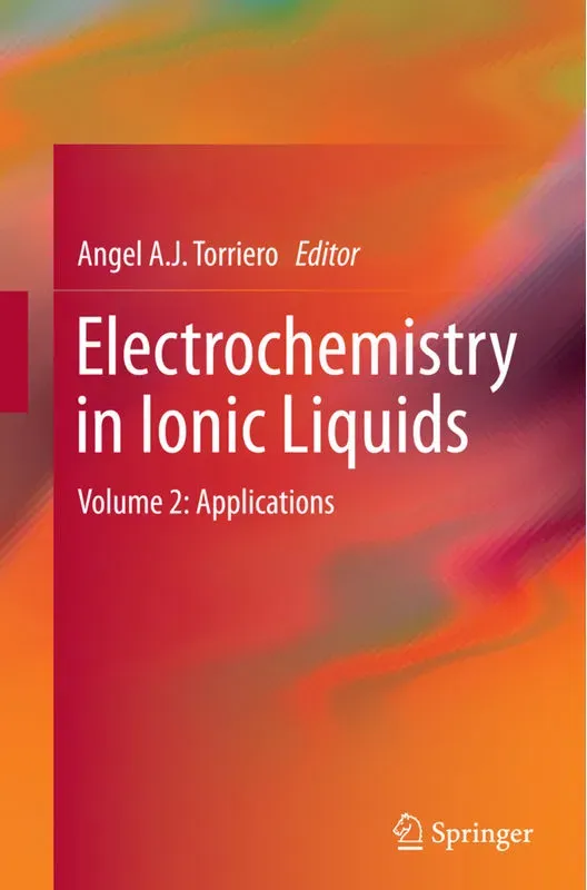 Electrochemistry In Ionic Liquids, Kartoniert (TB)