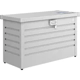 Paket-Box 100 silber-metallic