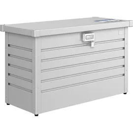 Biohort Paket-Box 100 silber-metallic