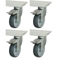 Rau Rollensatz für Serie adlatus 150 100 mm x 30 mm
