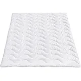 fan f.a.n. Leicht-Steppbett Summer Light 135x200 cm