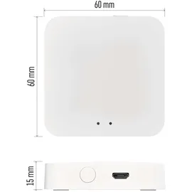 EMOS GoSmart Multifunktionales ZigBee-Gateway mit Bluetooth, und WiFi, H5001 Smart Home Hub Grau