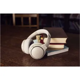 Panasonic RB-M700B sand beige