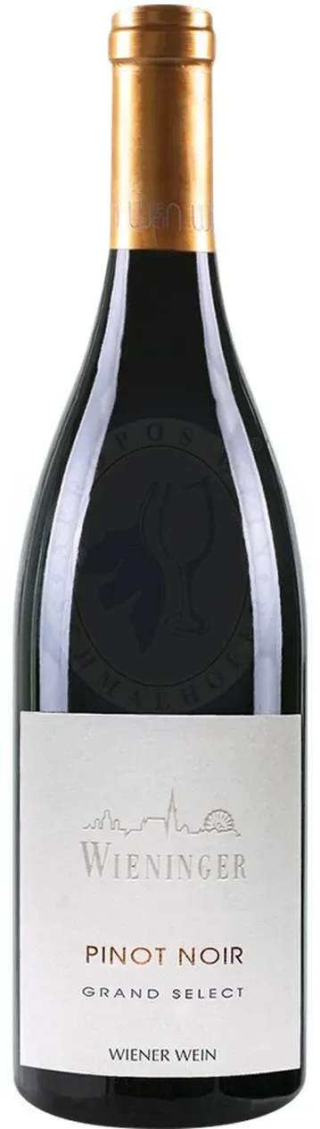 Pinot Noir Grand Select 2022 Wieninger 0,75l