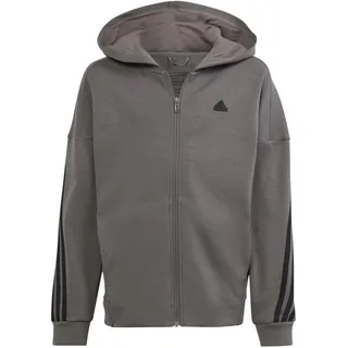 Adidas U FI 3S FZ HD CHACOA/BLACK, 176