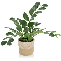 Kunstpflanze / Kunstbaum ZAMIE Zamioculcas grün hjh OFFICE