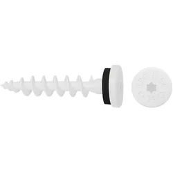 Isolierplattenschraube IPS-H 55- weiss