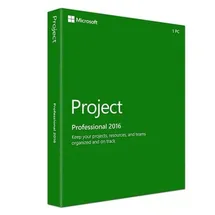 Microsoft Project Professional 2016 ESD ML Win