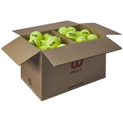 Wilson Tennisbälle Triniti Club Training (drucklos) 72er im Karton