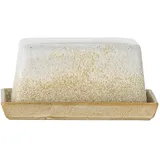 Bloomingville Paula Butterdose, Natur, Steingut,