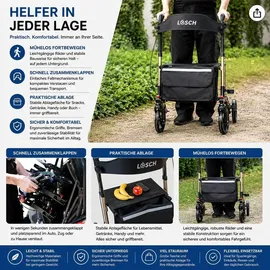 lösch reha Rollator TABAS Mobility faltbar und leicht mit Sitz Champagner