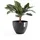 Ecopots Antwerp Ø 50 x 37,5 cm Dunkelgrau