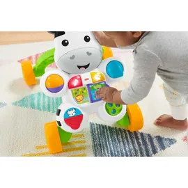 Fisher Price Lauflernwagen Zebra