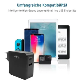 Ansmann 254PD