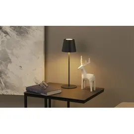 Briloner - LED Tischlampe kabellos Touch, höhenverstellbar, Nachttischlampe, Leselampe, Campinglampe, Tischleuchte, Akku Lampe, Outdoor Lampe, 36x10,5 cm, Anthrazit