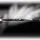 BIC Fineliner Intensity Fine, 942069, Strichbreite 0,4 mm, Schwarz,