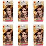 Schwarzkopf Country Colors 49 cognac haselnuss 123 ml