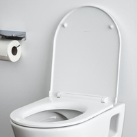 Laufen Pro WC-Sitz mit Deckel slim, mit Absenkautomatik, Scharniere Edelstahl, für Hohlraumbefestigung (H8989660000001)