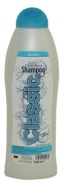 REGINA Shampoo 26 , Classic