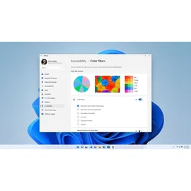 Microsoft Windows 11 Pro DVD DSP/SB EN