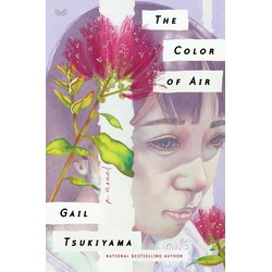 The Color of Air als eBook Download von Gail Tsukiyama