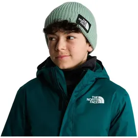 The North Face TNF Logo Box Cuffed Mütze Slate Moss