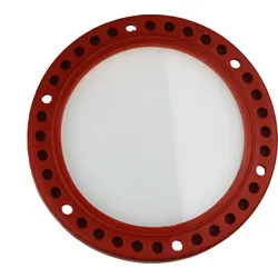 Oase BG Dichtung + Scheibe für ProfiLux 100 (27581)