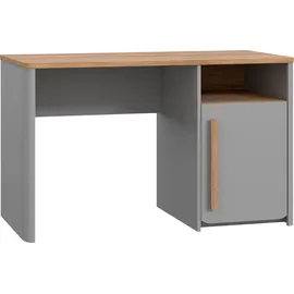 Forte Schreibtisch grau ¦ Maße (cm): B: 120 H: 73,8 T: 58.7