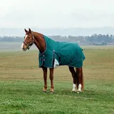 Weatherbeeta Comfitec Plus Dynamic Turnout High Neck 220g, 150