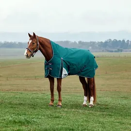 Weatherbeeta Comfitec Plus Dynamic Turnout High Neck 220g, 150