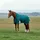 Weatherbeeta Comfitec Plus Dynamic Turnout High Neck 220g, 150