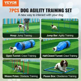 Vevor Agility Set mehrfarbig