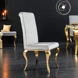 Design Stuhl MODERN BAROCK grau Samt goldene Stuhlbeine Esszimmerstuhl Samtstuhl